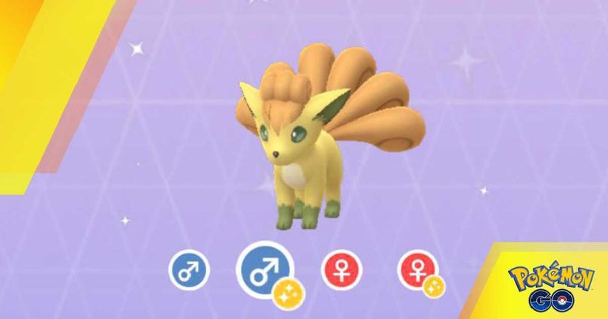 Can Eevee be shiny in Pokémon Go? - Polygon