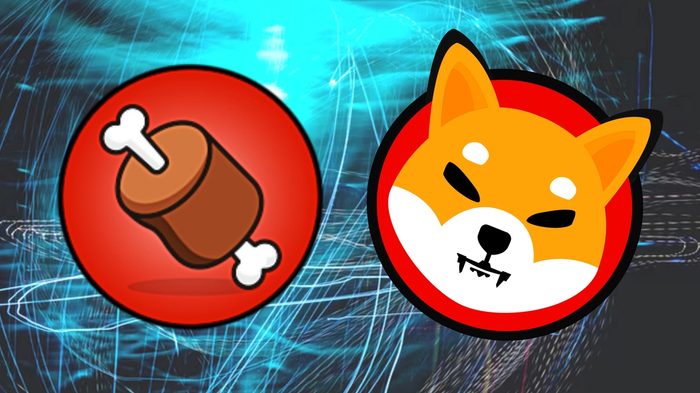 Image of Shiba Inu token and BONE logos, in front of blue background.