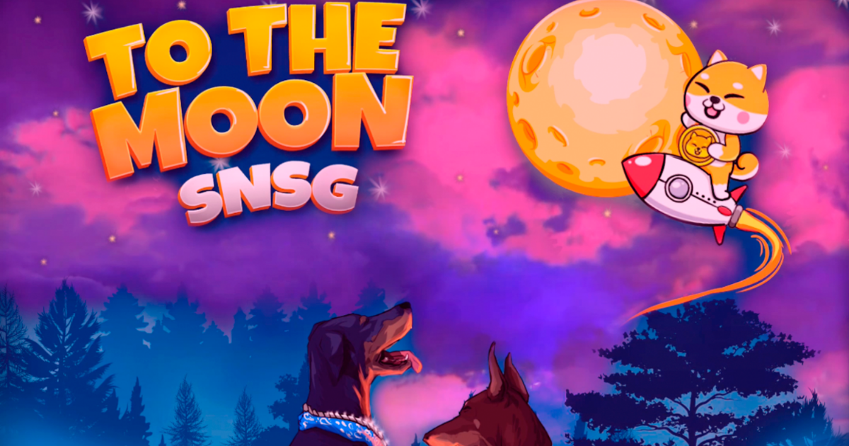 Image of two dogs looking up at a ping, blue and purple sky, featuring a moon, Shiba Inu on a rocket, and the text 'To the moon SNSG'.