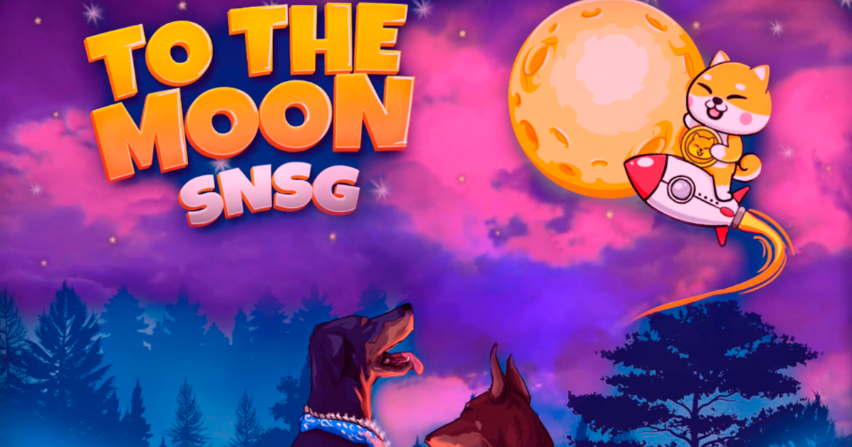 Image of two dogs looking up at a ping, blue and purple sky, featuring a moon, Shiba Inu on a rocket, and the text 'To the moon SNSG'.
