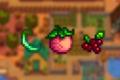 Green bean, melon, and cranberry in Stardew Valley.