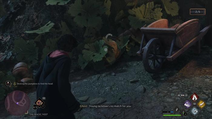 jackdaw's head hiding in a pumpkin in Hogwarts Legacy