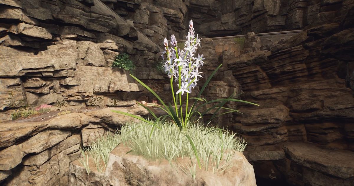 The Forgotten City, the white flower is sat on top of the rock formation. It has several white little flowers on it and long green stems. 