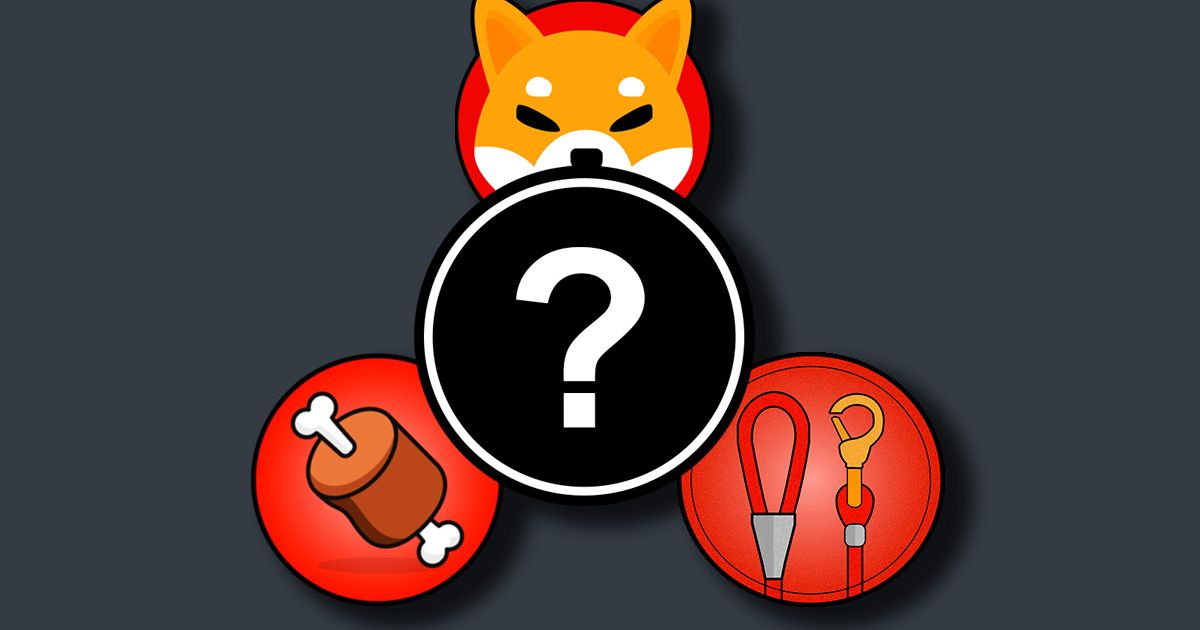 Shiba Inu Coin, BONE and LEASH tokens, with a black circle and a question mark in the centre, on a grey background.