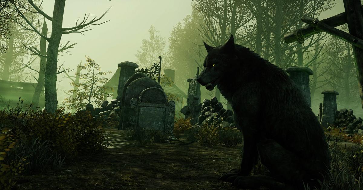A wolf sitting in a gloomy graveyard.
