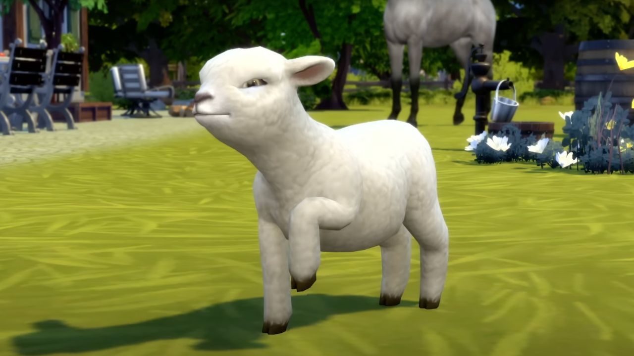 How to get goats and sheep in Sims 4 Horse Ranch