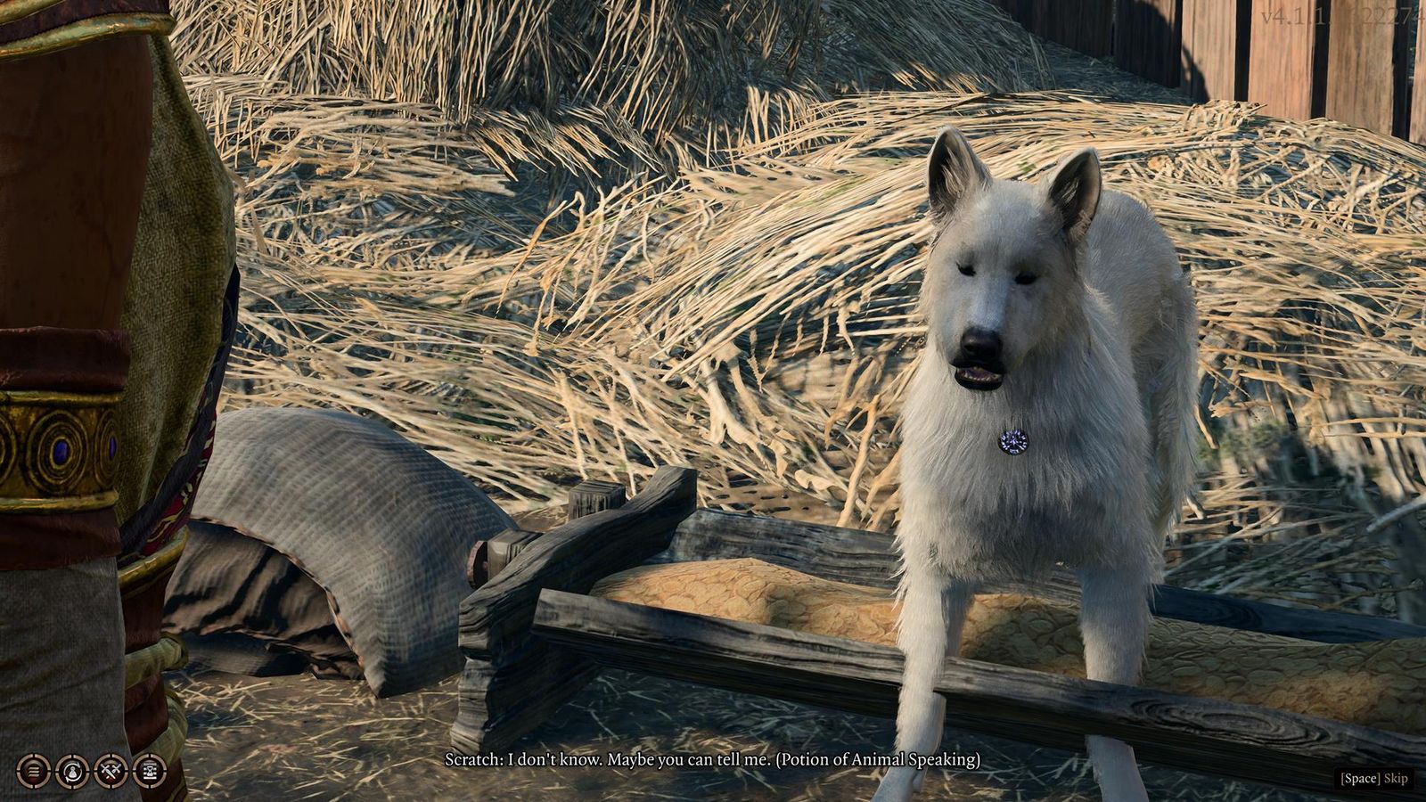 The dog, Scratch, talks to the player after giving them a Potion of Animal Speaking.
