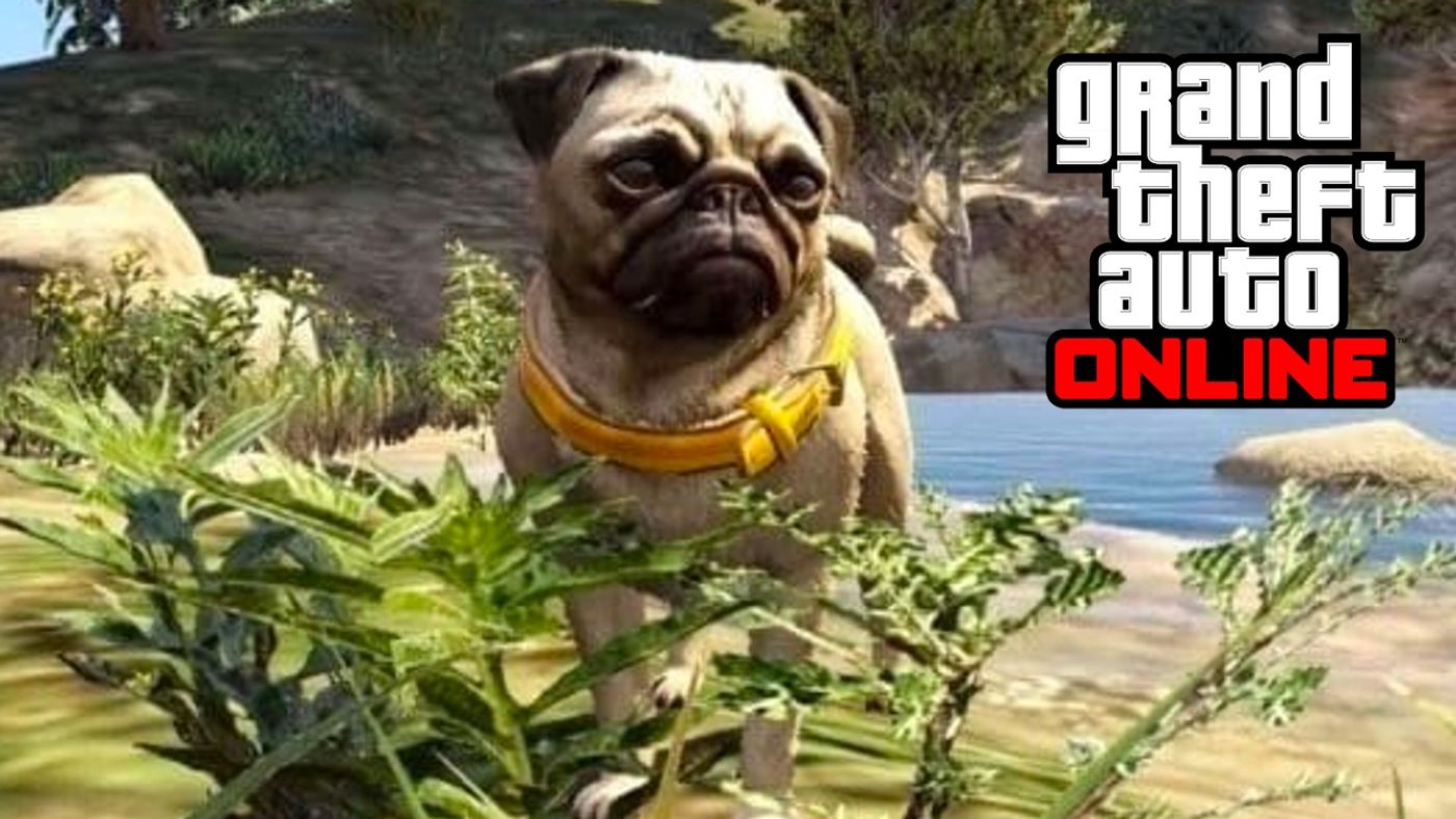 GTA Online Peyote Plant Locations 2021: Where To Find ALL 76 Peyote Plants