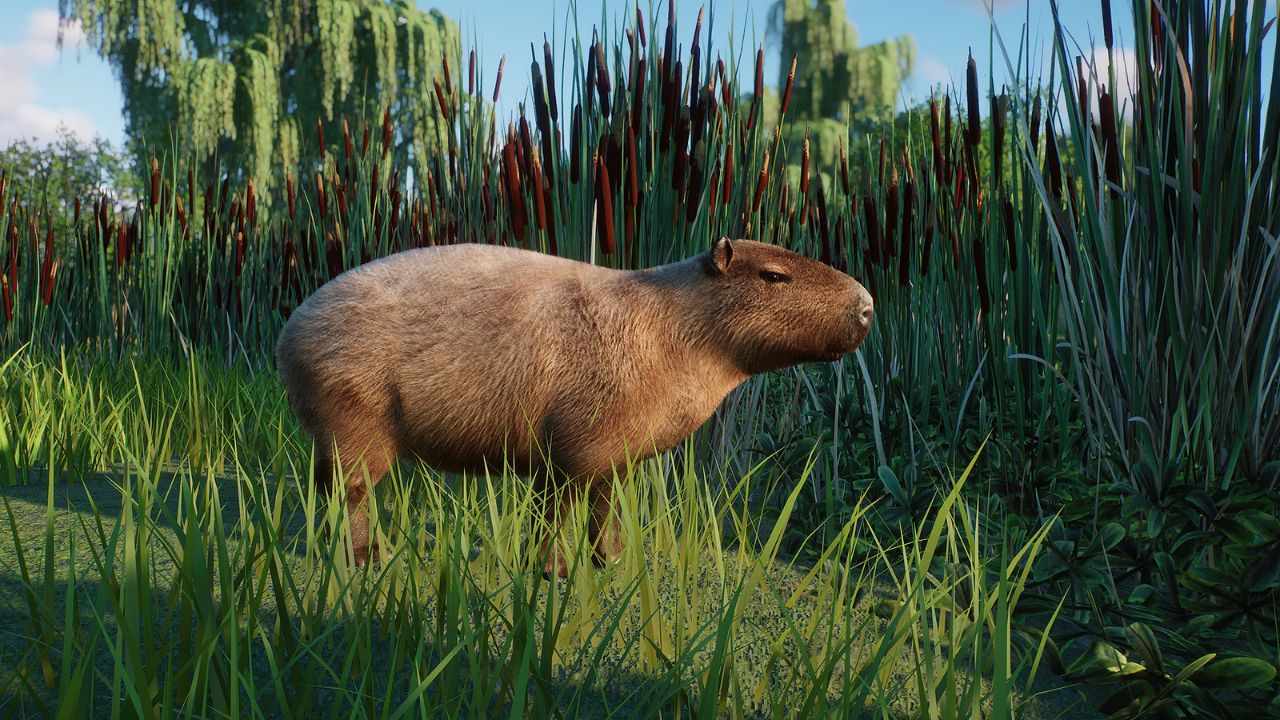 Capybara mod in Planet Zoo.
