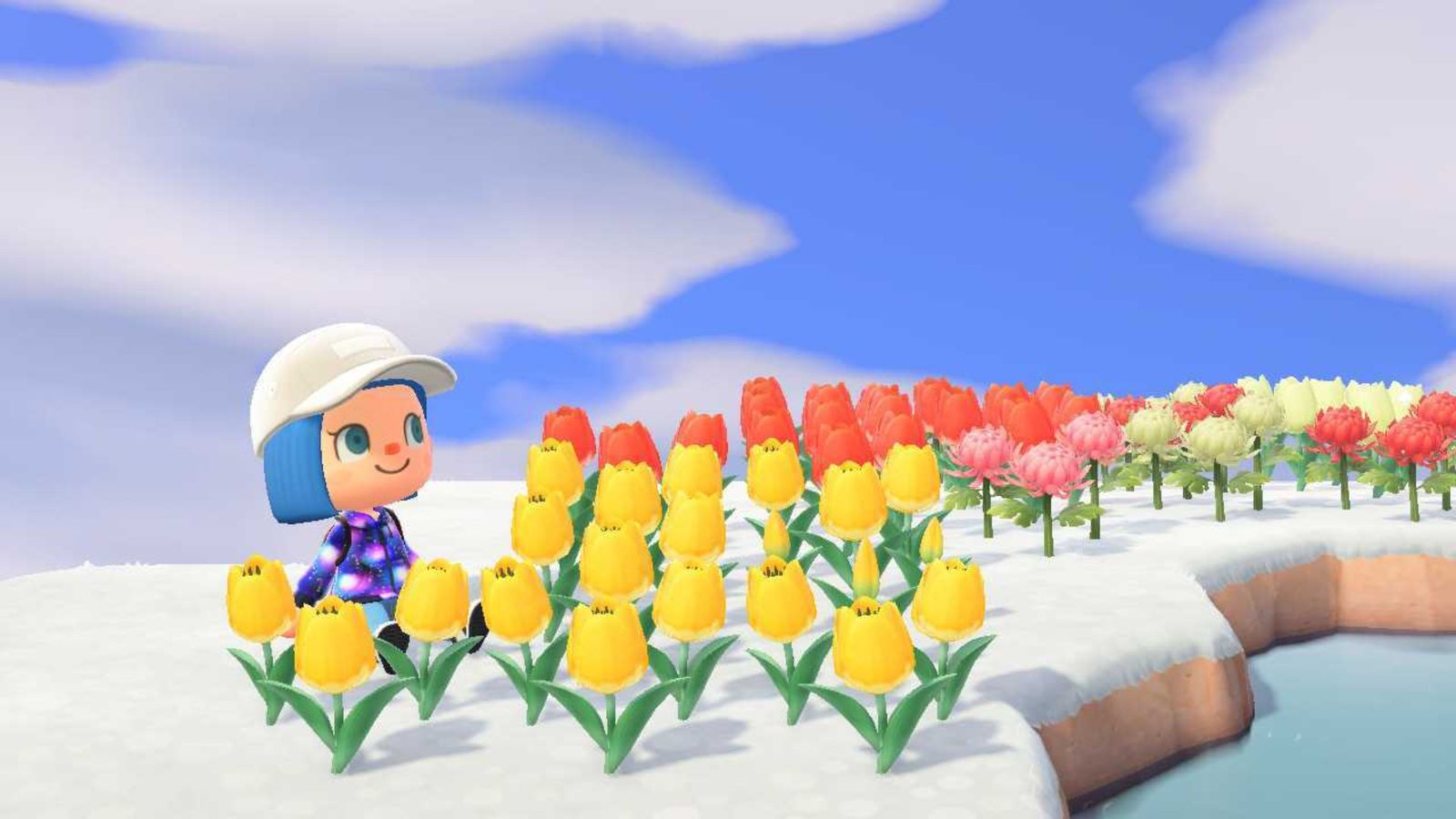 Animal Crossing New Horizons flowers winter