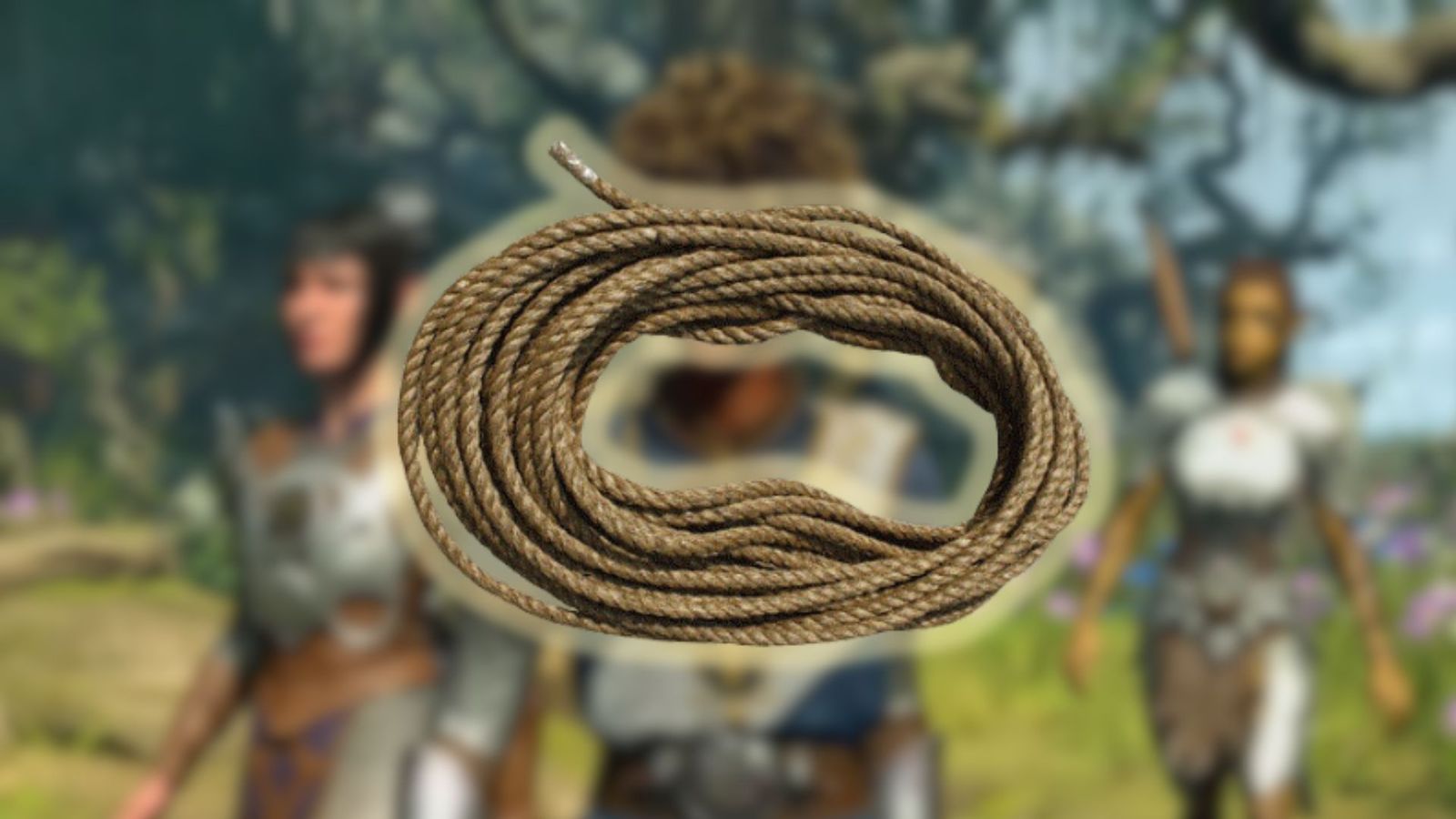 An image of rope against a Baldur's Gate 3 gameplay trailer screenshot. 