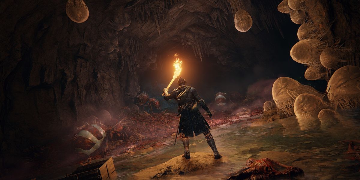 Elden Ring. Character is standing at the mouth of a cave filled with large eggs while holding a fire-lit torch above their head.