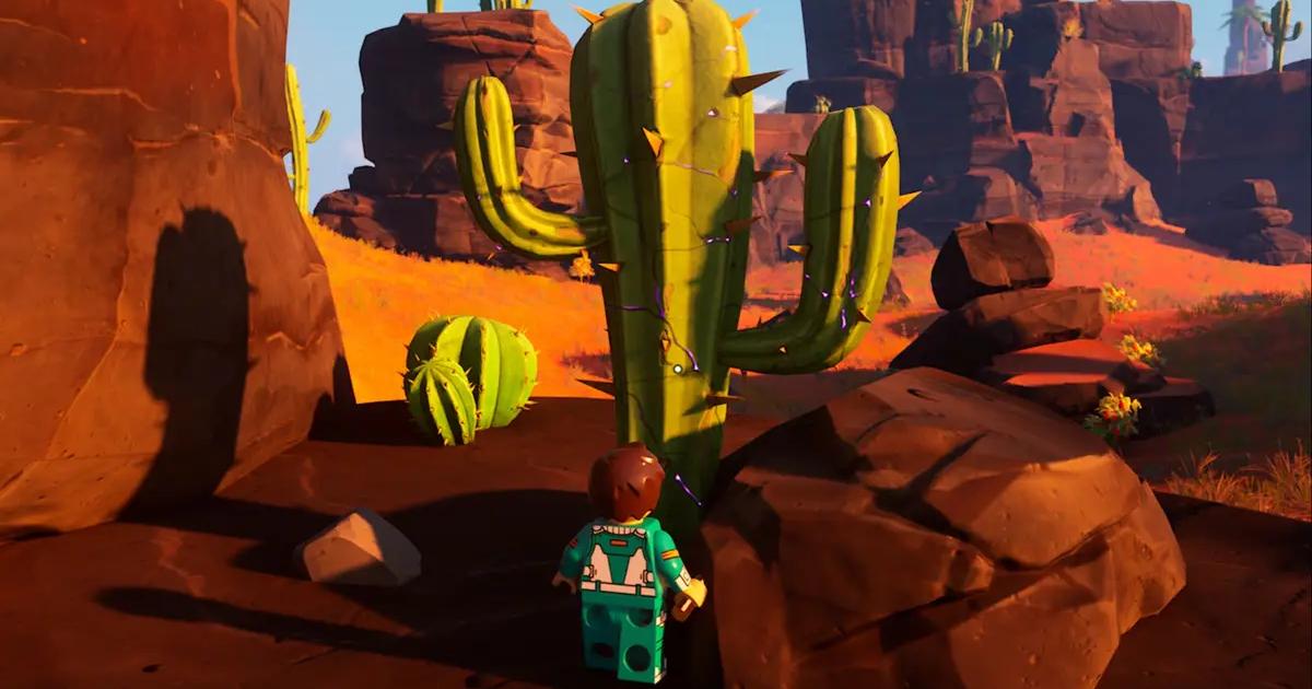 Flexwood -farmers facing cactus