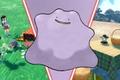 Ditto in Pokemon Scarlet and Violet.