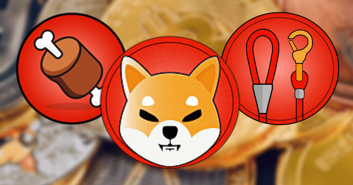 Image of BONE, SHIB, and LEASH tokens against blurred background of coins including Bitcoin.
