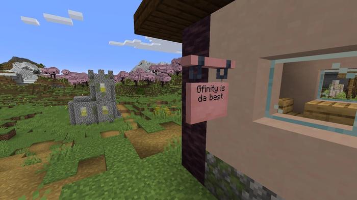 'Gfinity is da best' is on the hanging sign in Minecraft
