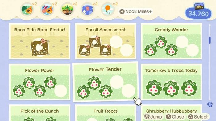 Animal Crossing New Horizons Nook Miles Island Accomplishments