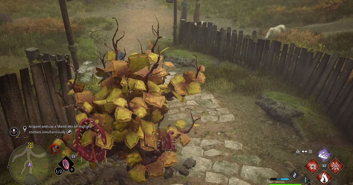 A screenshot of the Venomous Tentacula plant in Hogwarts Legacy.