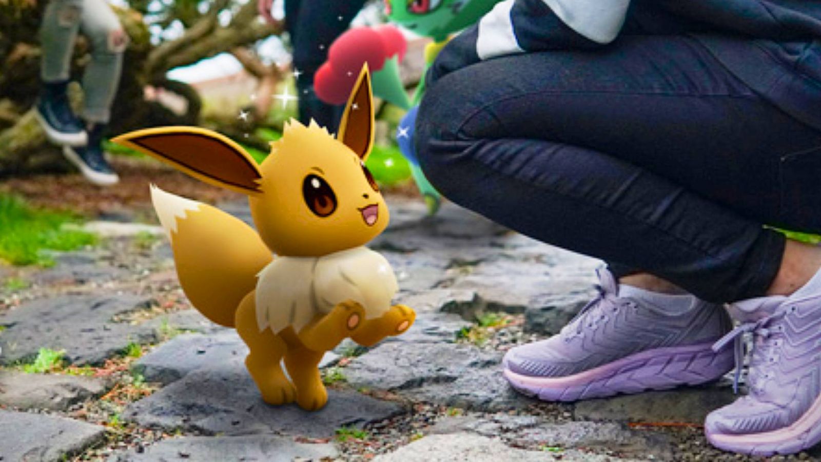 An Eevee and its trainer