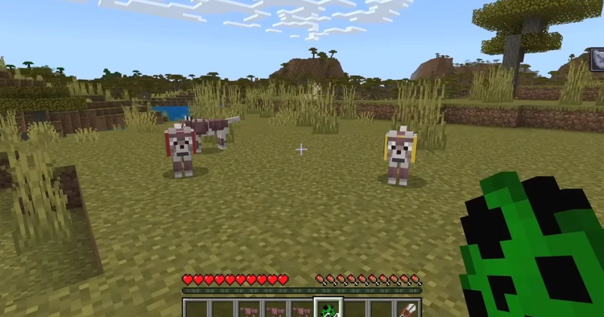 minecraft wolves with wolf armor standing on grass