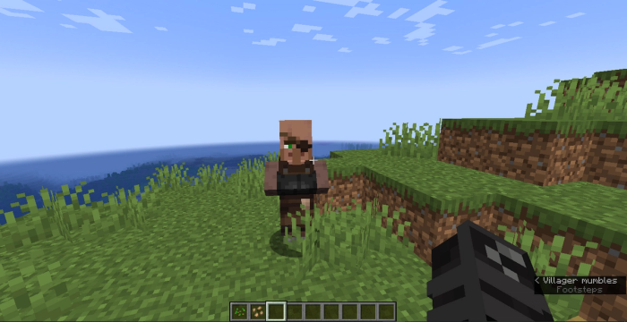 A Minecraft Weaponsmith standing on a grassy plain. 