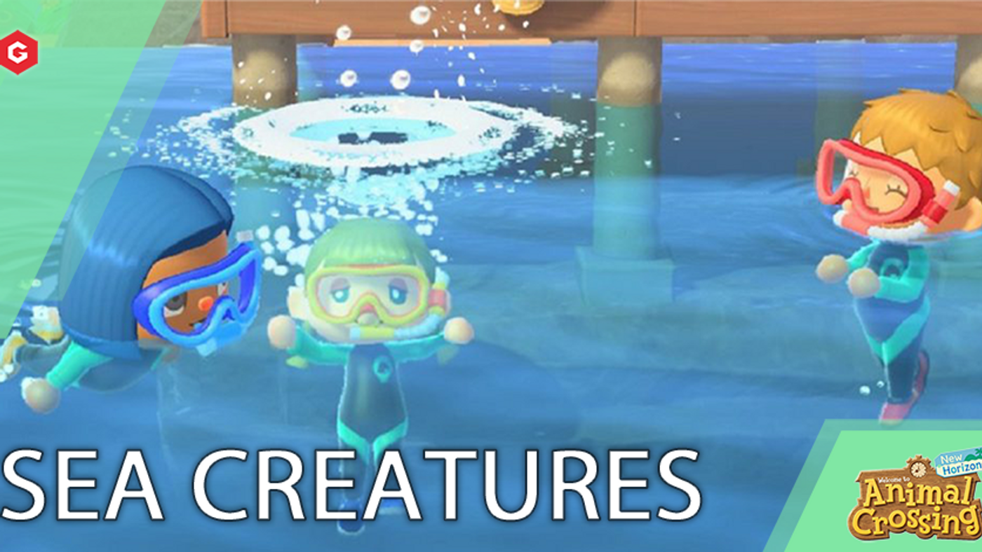 Animal Crossing New Horizon: Every Sea Creature And How Much They Sell For