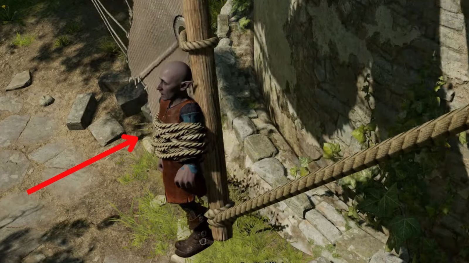 A screenshot of the gnome tied up with rope in Baldur's Gate 3.