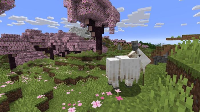The new Cherry Blossom biome in Minecraft
