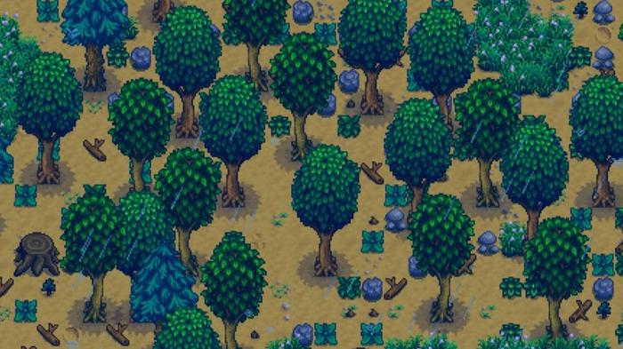 Stardew Valley Woodlands. The image shows an area covered with pine trees and normal trees that are all bushy and green. 
