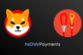 Image of Shiba Inu Coin logo next to LEASH logo, both above the NOWPayments logo, on a dark grey background.