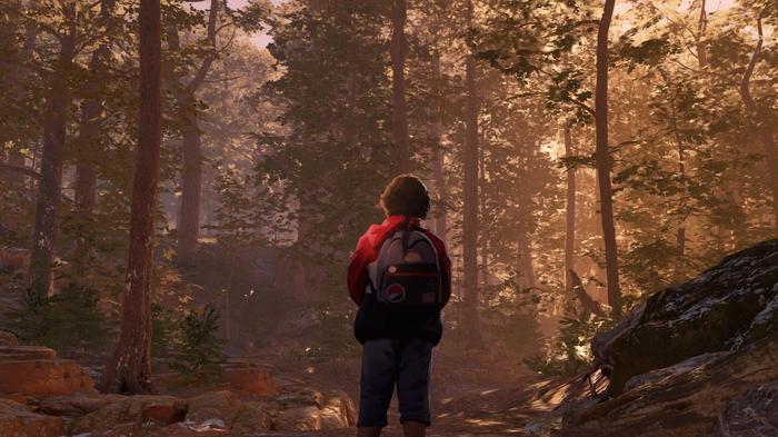 Image of a character walking through the woods in As Dusk Falls.