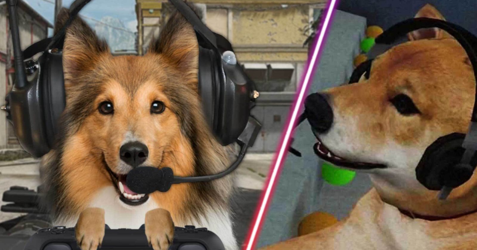 U.K.-based startup Joipaw is making video games for dogs