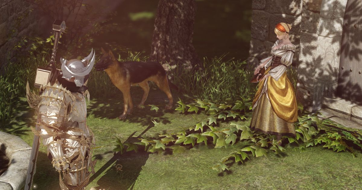 A player is speaking with an NPC in Lost Ark.