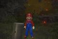An image of Mario in Elden Ring.