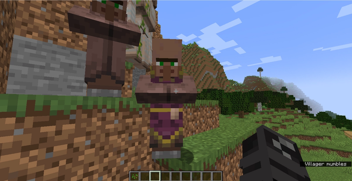 A Minecraft Cleric standing beside a Minecraft villager. 