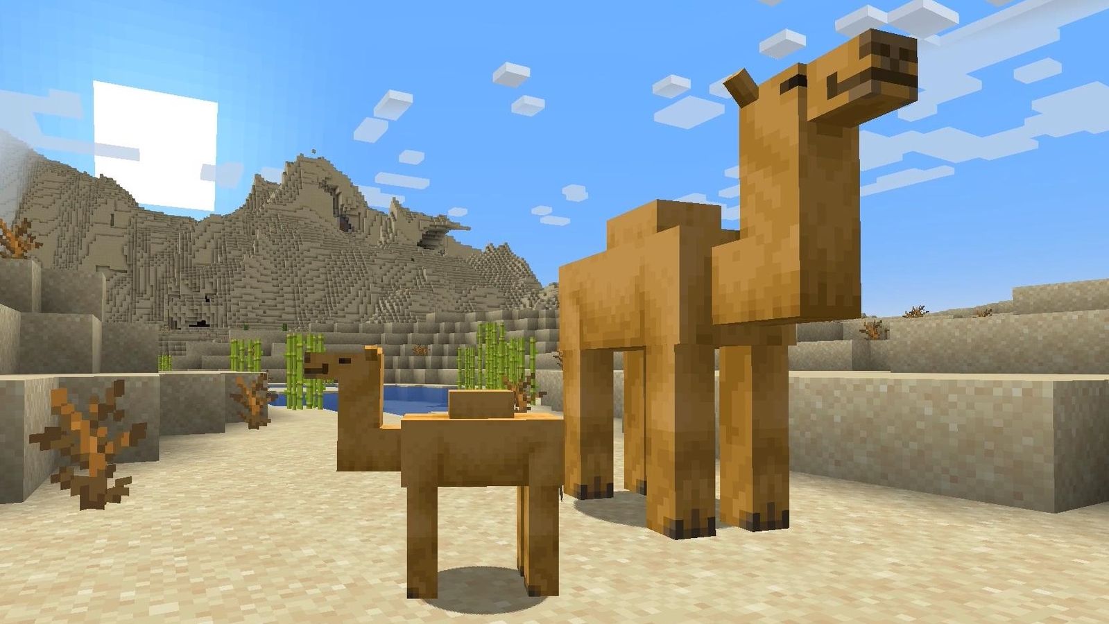Two camels in Minecraft snapshot 1.20