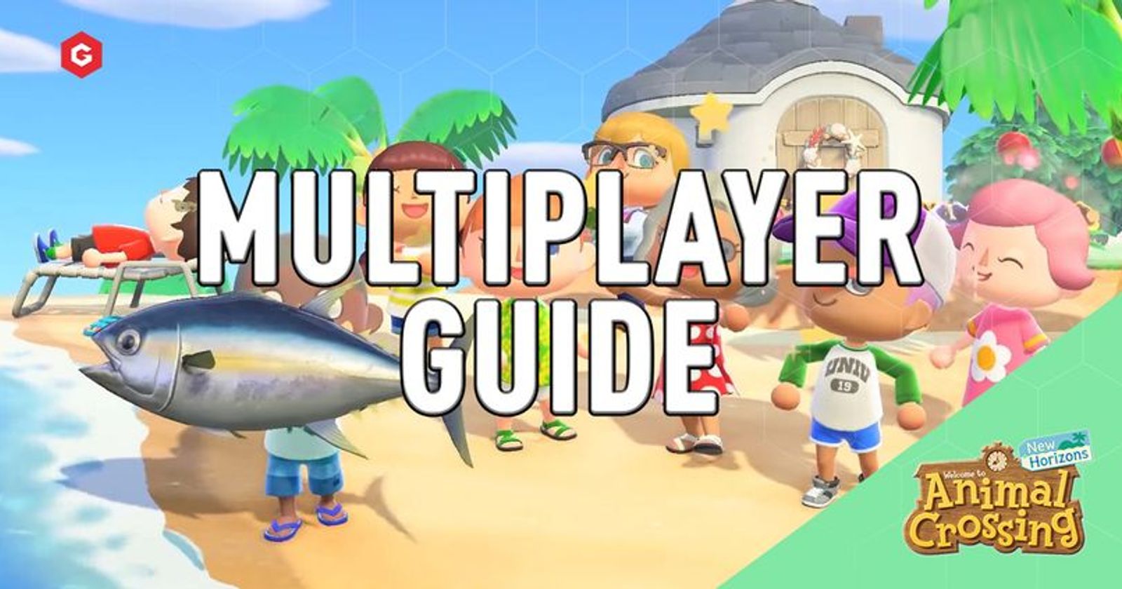 Animal Crossing: New Horizons - Detalhes para o multiplayer local