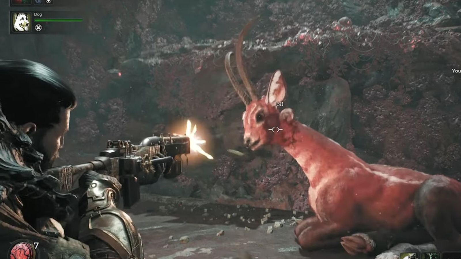 A screenshot of killing the doe in Remnant 2.