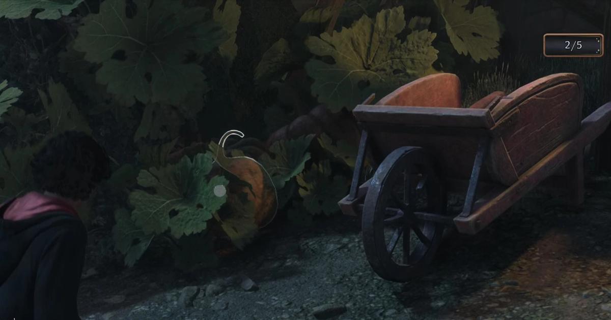 pumpkin patch in hogwarts legacy