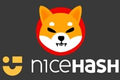 Image of Shiba Inu logo above NiceHash, after the mining platform teased a SHIB listing.
