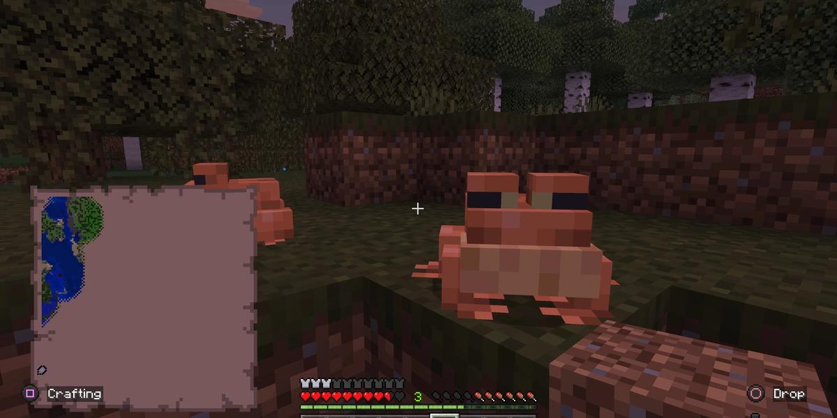 A frog in Minecraft.