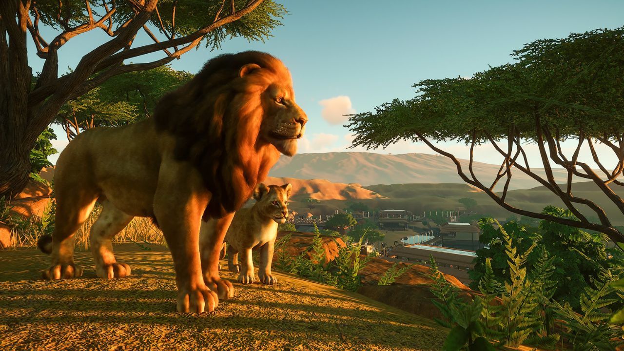 Two lions in Planet Zoo.