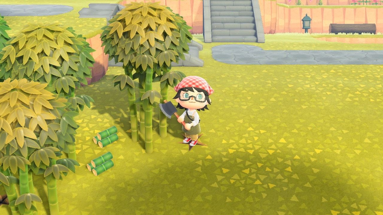 A player stood by bamboo, collecting Bamboo Pieces and Young Spring Bamboo in Animal Crossing: New Horizons.