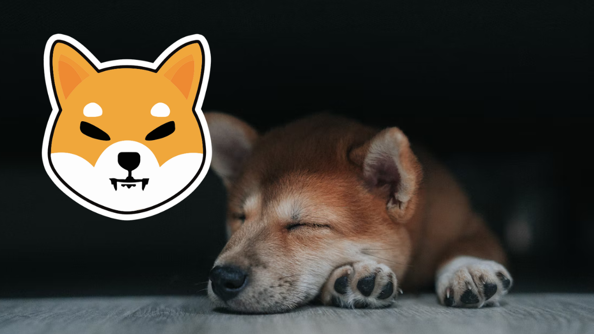 Shiba Inu Abandons Ryoshi Vision And Centralises SHIB Burn