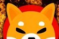 Image of Shiba Inu Coin Logo, in front of burning fire after SHIB burn transactions reach 1000.
