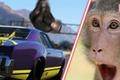A monkey and a car in GTA V