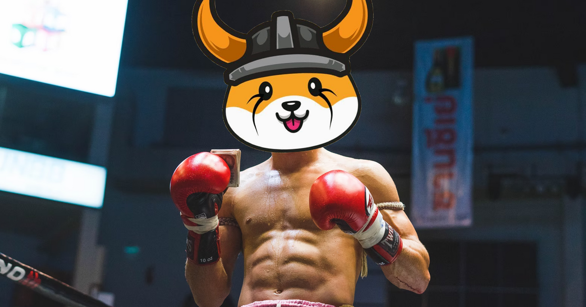 Image of a boxer posing in a boxing ring, with the Floki Inu logo as their face.