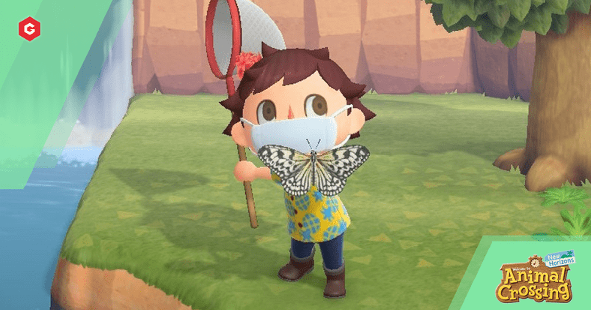 A player catches a common tiger butterfly in Animal Crossing New Horizons.