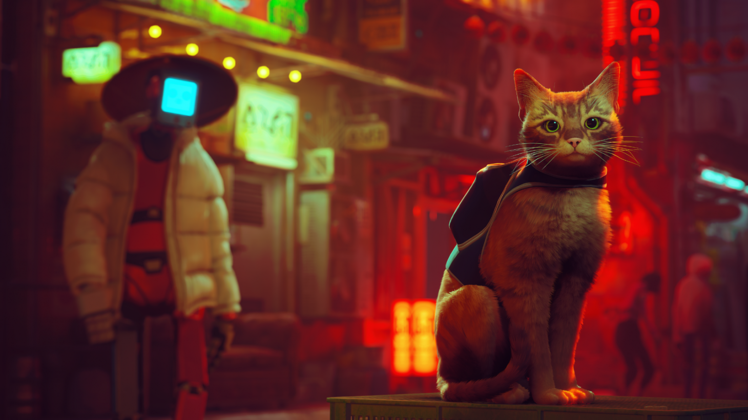The cat from Stray looks at the camera with a robot behind it.