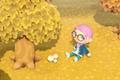 Animal Crossing New Horizons how to get mushrooms